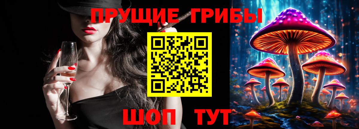 Псилоцибиновые грибы прущие грибы Верхняя Салда